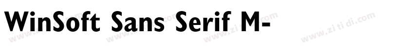 WinSoft Sans Serif M字体转换
